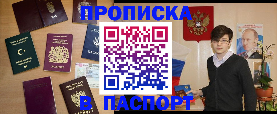 прописка 2025 в Курчалом